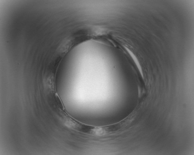 X0000056000425200508221328