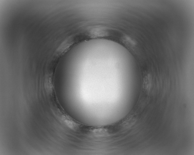 X0000056000426200508221328