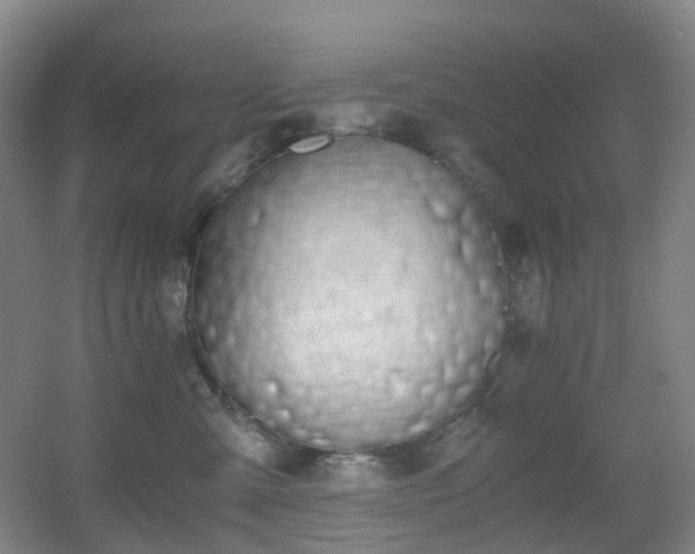 X0000056000427200508221328