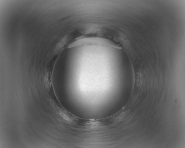 X0000056000428200508221328