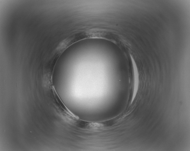 X0000056000429200508221328