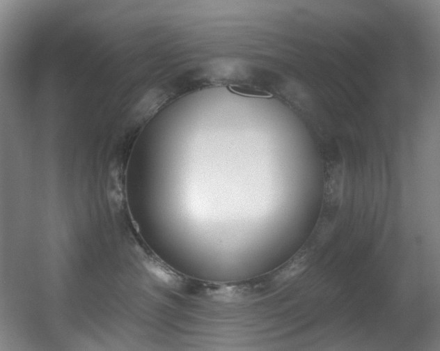 X0000056000430200508221328