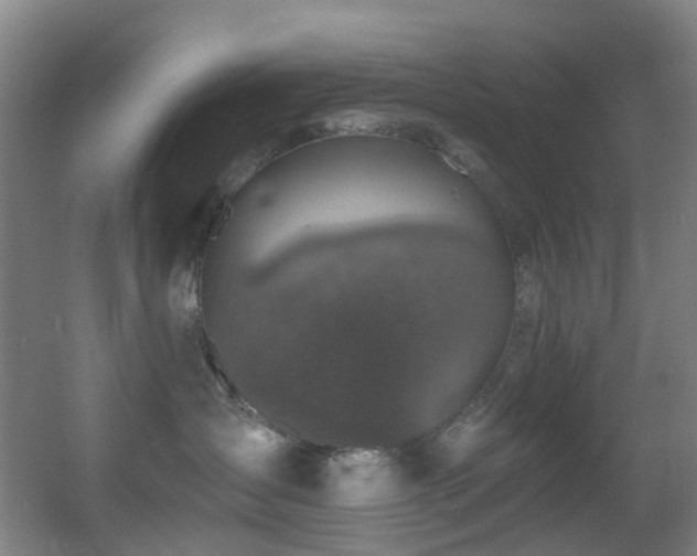 X0000056000431200508221328