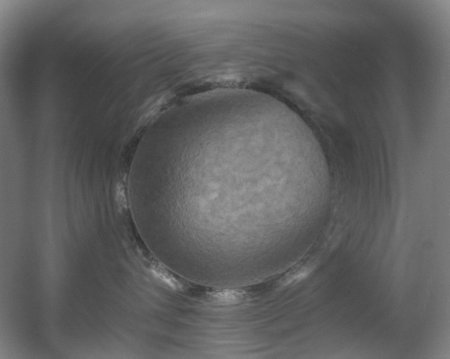 X0000056000432200508221328