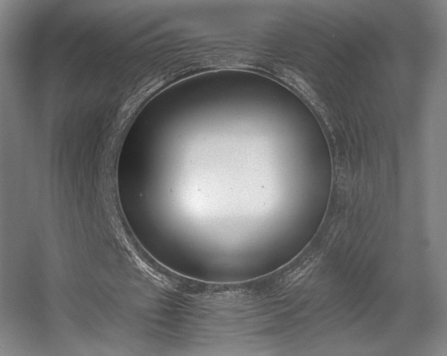 X0000056000433200508221327