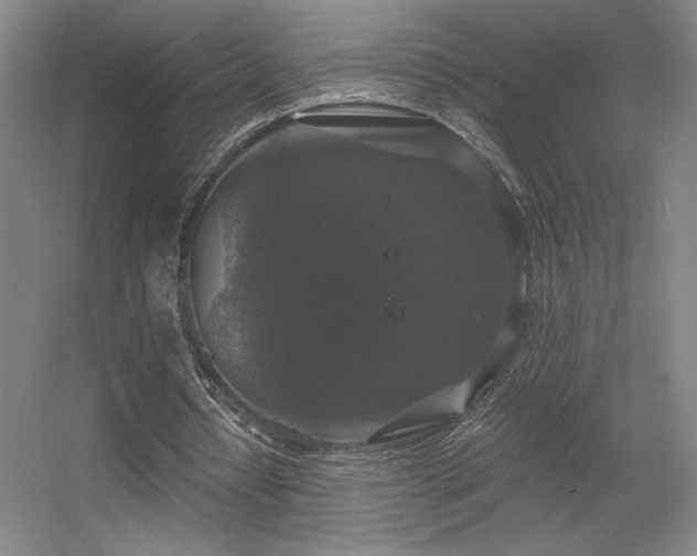 X0000056000434200508221327