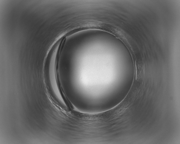 X0000056000435200508221327