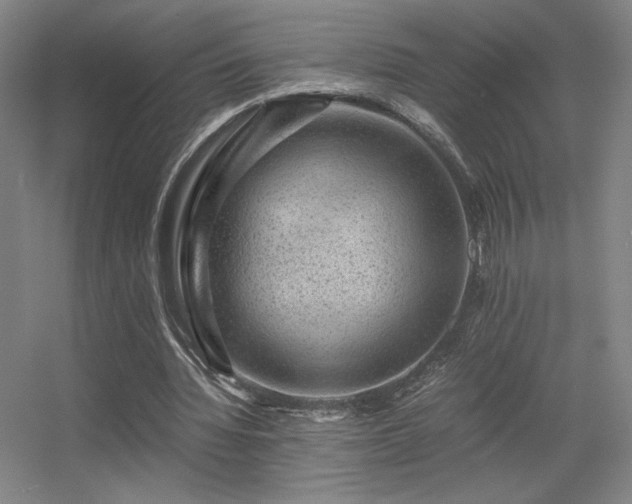 X0000056000436200508221327