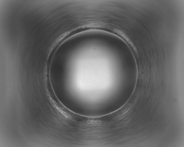 X0000056000437200508221327