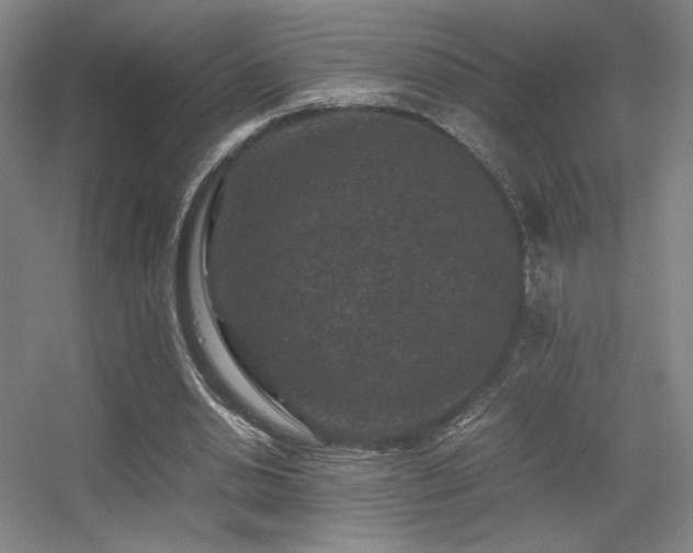 X0000056000438200508221327