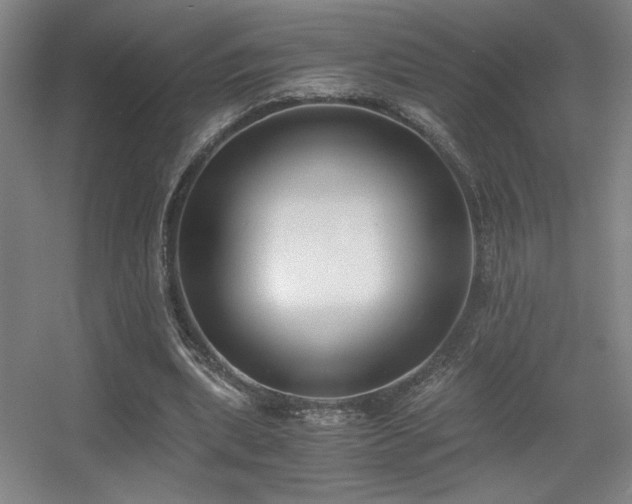 X0000056000439200508221327