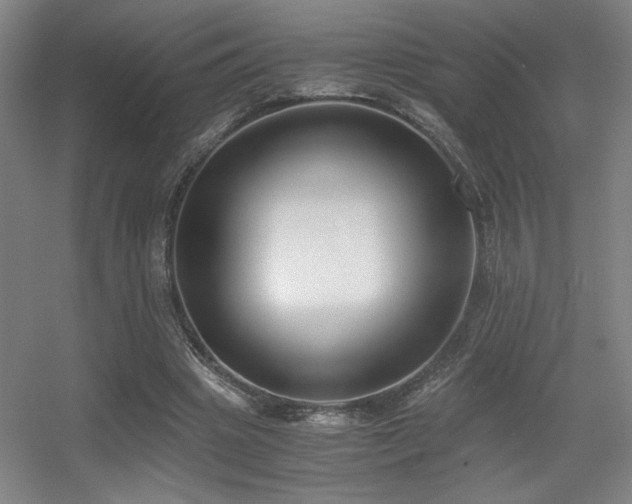 X0000056000441200508221327