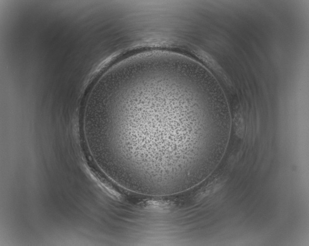 X0000056000442200508221327