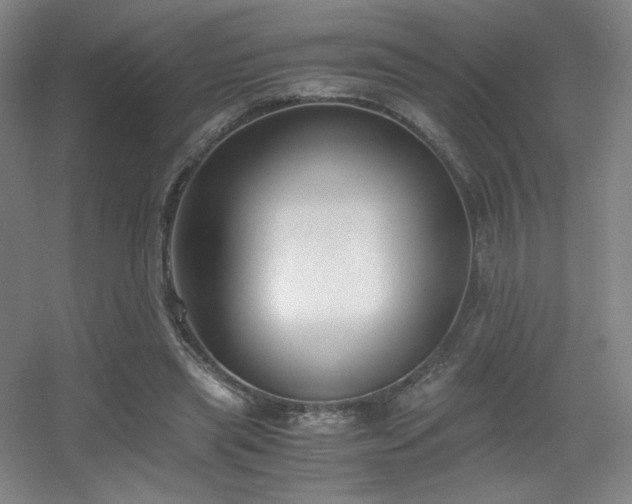 X0000056000445200508221327