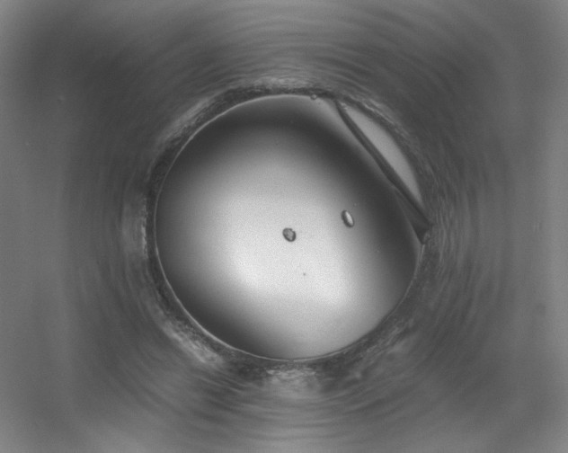 X0000056000446200508221327