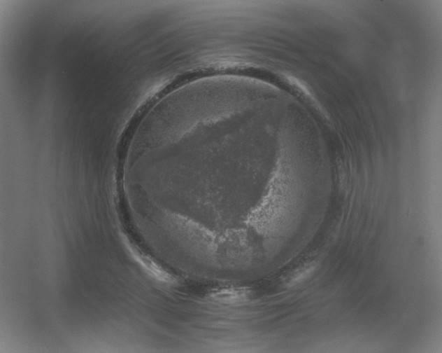 X0000056000447200508221327