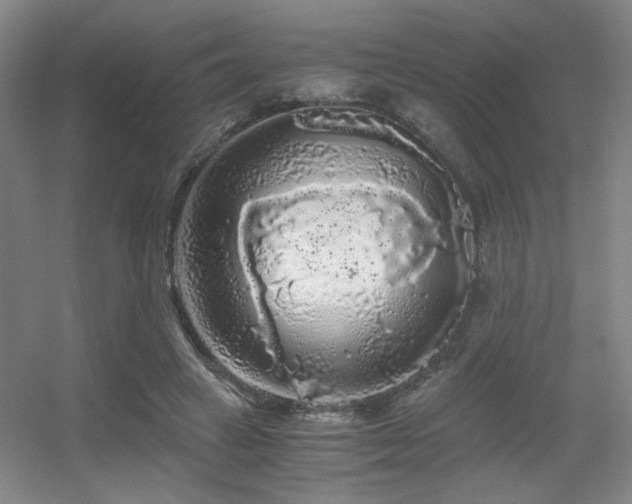 X0000056000449200508221327