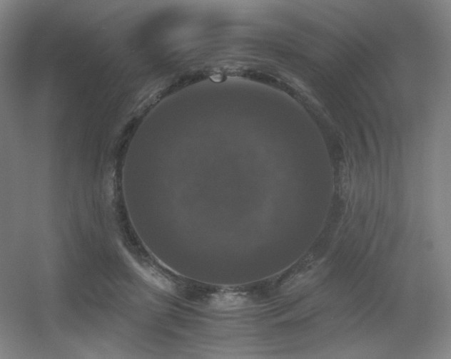 X0000056000451200508221327