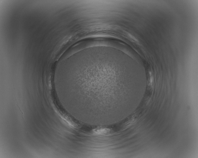 X0000056000452200508221327