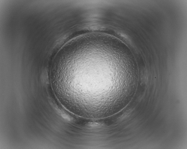 X0000056000453200508221327