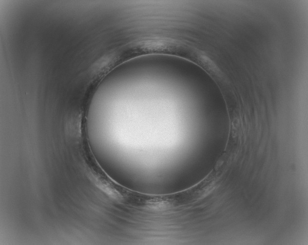 X0000056000454200508221327