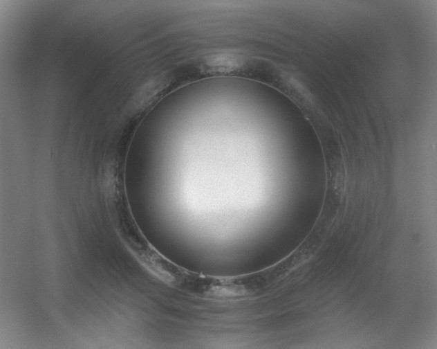 X0000056000455200508221327