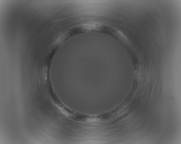 X0000056000458200508221327