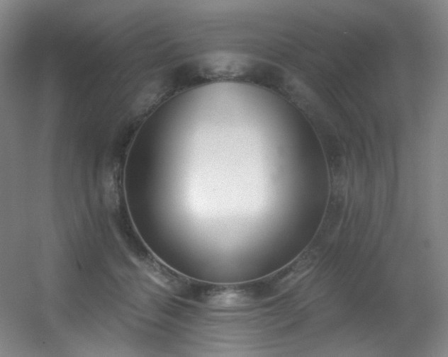 X0000056000460200508221327