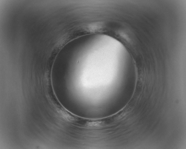 X0000056000461200508221327