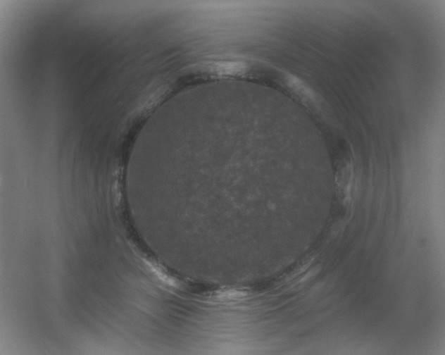 X0000056000462200508221327