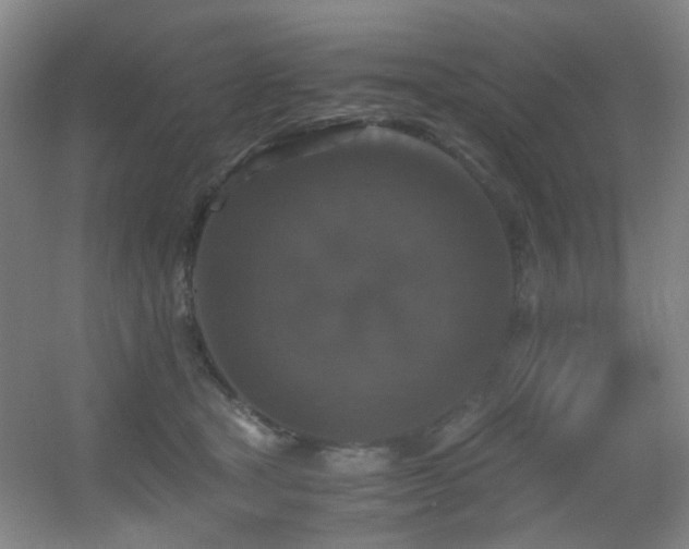 X0000056000465200508221327