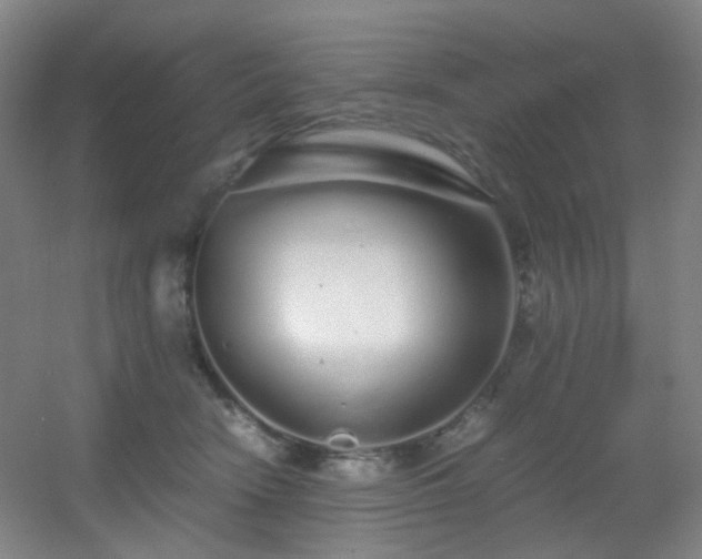 X0000056000466200508221327