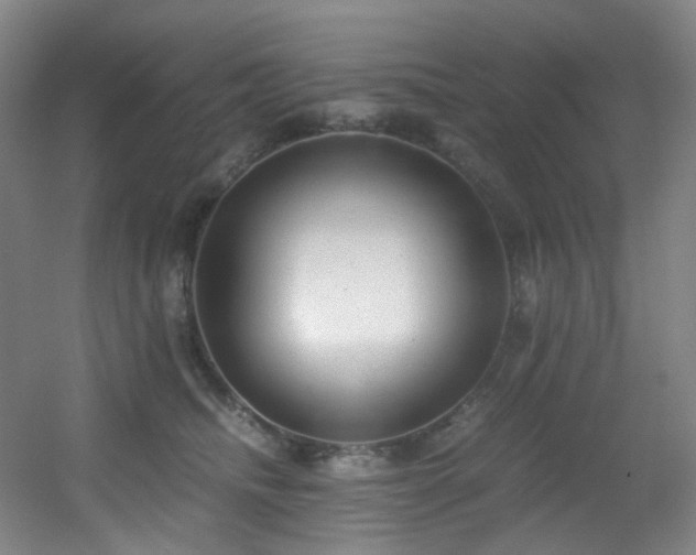 X0000056000468200508221327