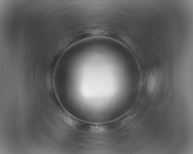 X0000056000469200508221327