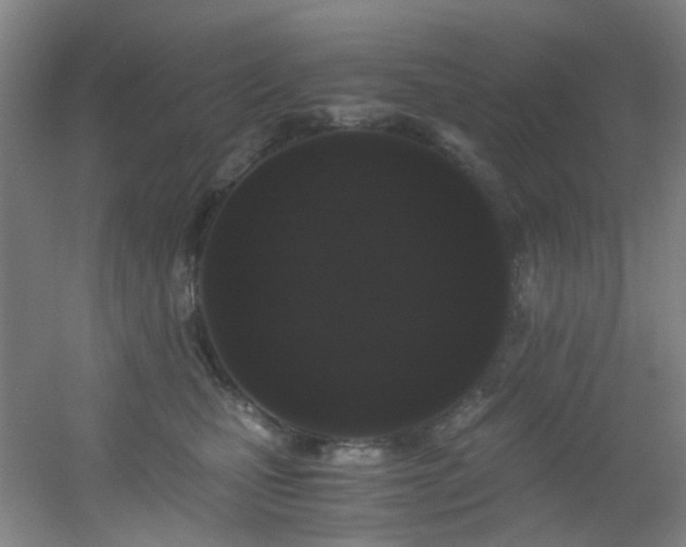 X0000056000471200508221327