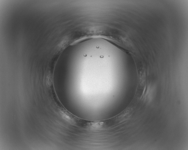 X0000056000474200508221327