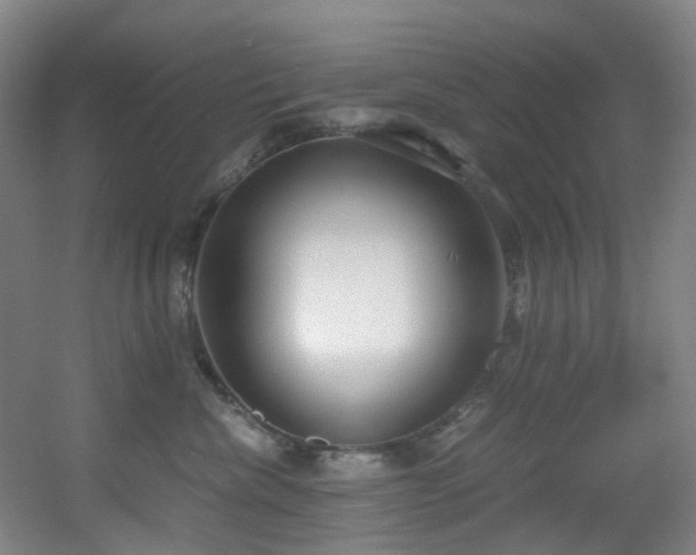 X0000056000476200508221328