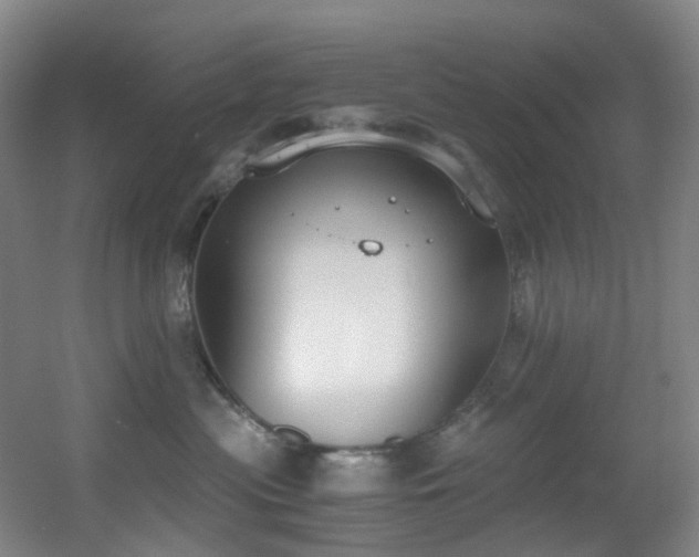 X0000056000477200508221328