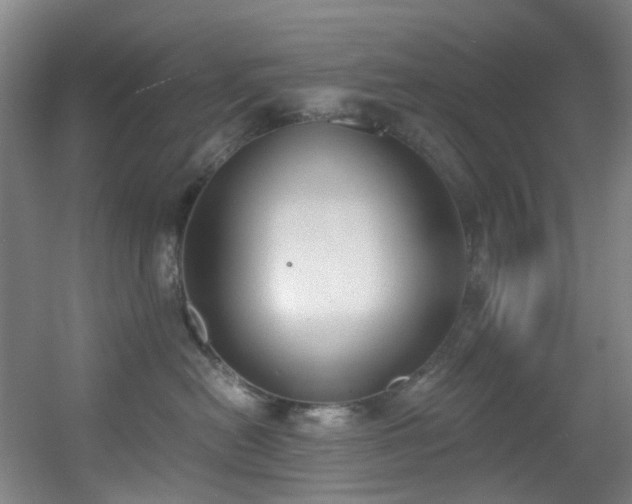 X0000056000478200508221328