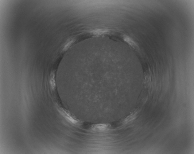 X0000056000479200508221328