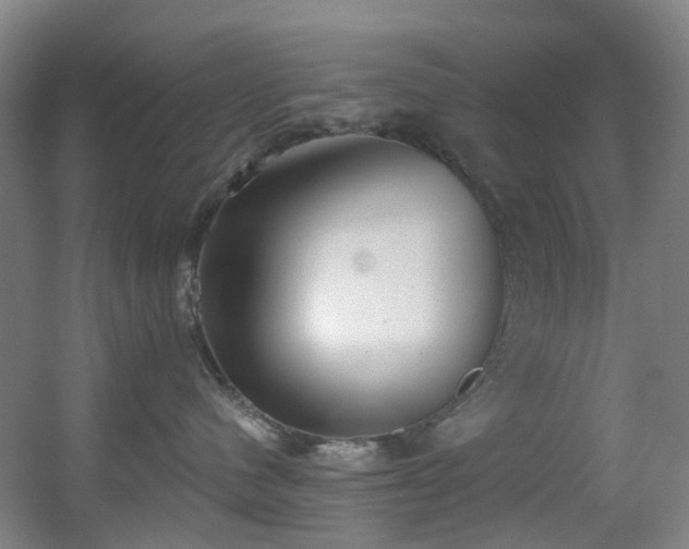 X0000056000480200508221328