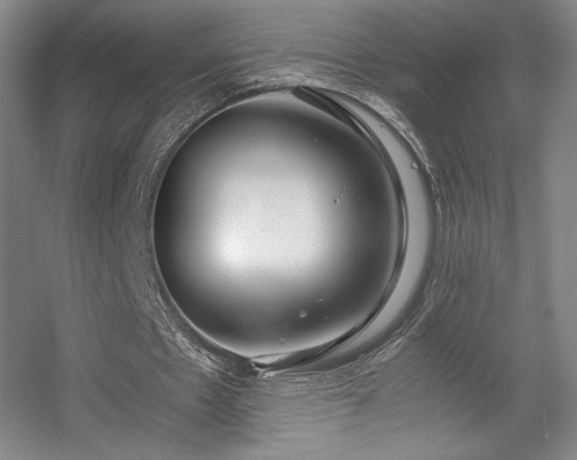 X0000056000481200508221327