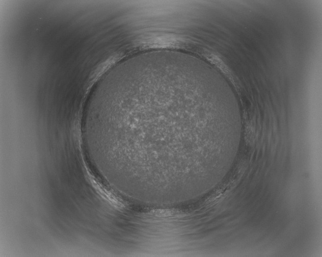 X0000056000482200508221327