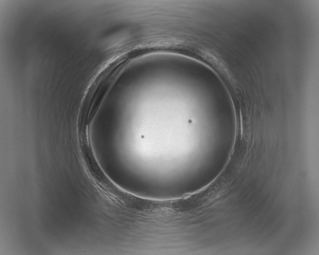 X0000056000483200508221327