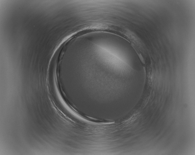 X0000056000484200508221327