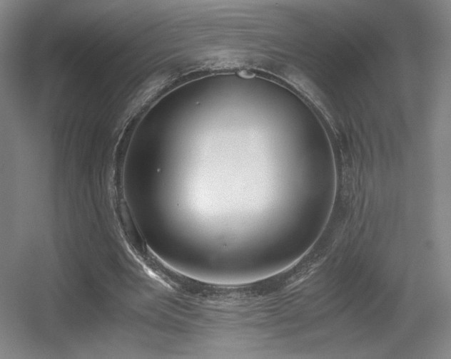 X0000056000485200508221327