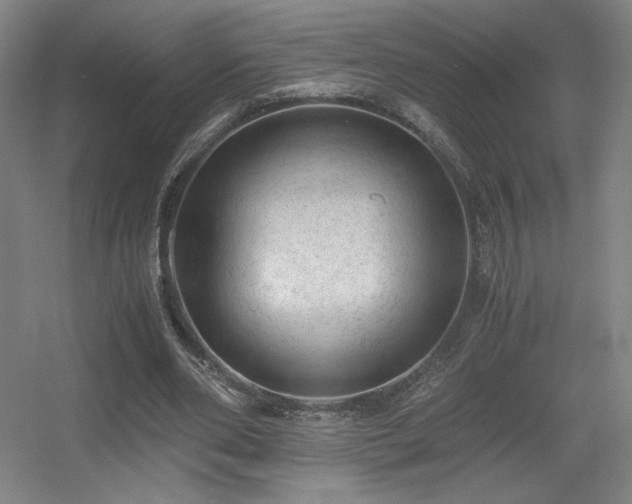 X0000056000486200508221327