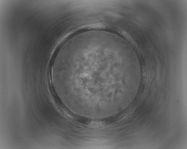 X0000056000487200508221327