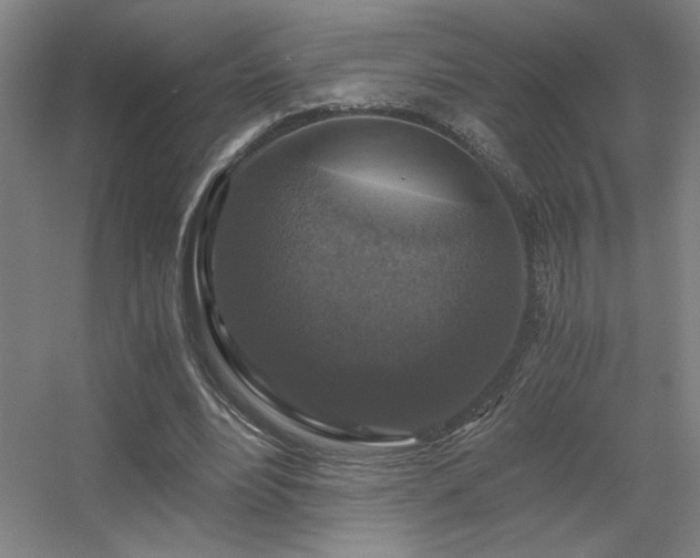 X0000056000488200508221327