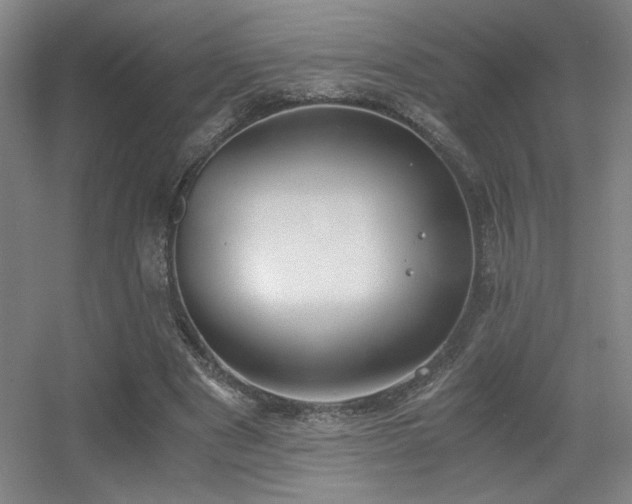 X0000056000489200508221327